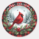 Search for cardinal stickers Holly berries