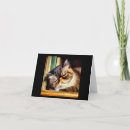 Search for exotic pet cards Feline