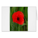 Search for mohn Red
