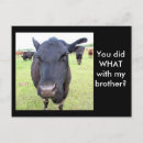 Recherche de humour vache cartes postales Ferme