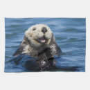 Recherche de loutres cuisine linges Sauvage