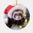 Search for ferret ornaments Animal