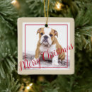 Search for english bulldog ornaments Puppy