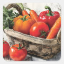 Recherche de pannier autocollants Légumes