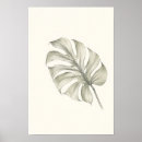Search for monstera art Green