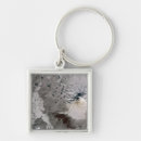 Search for ash plumes keychains Photography