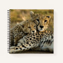 Search for cheetah notebooks Wild animals