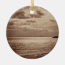 Search for scene ornaments Grey