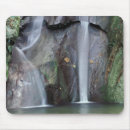 Recherche de forêt tropicale tapis souris Cascade