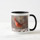 Recherche de cardinal masculin tasses Cardinaux