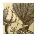 Recherche de corail carreaux Algues