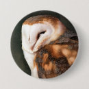 Search for cute barn buttons Birds