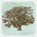 Search for ives stickers Botanical