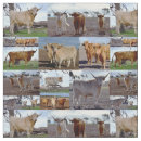 Search for cute cow fabric Cattle