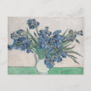 Search for dutch iris postcards Flowers
