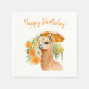 Search for llama birthday Summer