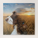 Search for english springer spaniel puzzles Dog