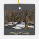 Search for trail ornaments Winter
