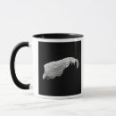 Search for asteroid mugs Minor planets