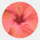 Recherche de macros autocollants Photographie