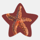 Search for star fish stickers Marine