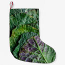 Recherche de légume chaussette de noël Motif