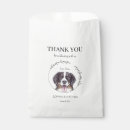 Recherche de bernese mountain dog Moderne