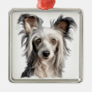 Recherche de cartoon ornaments Dog