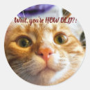 Search for funny birthday party stickers Cat