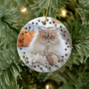 Search for pet memorials Cat