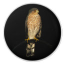 Recherche de chasseur boutons et poignées de porte Faune