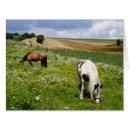 Search for chestnut horse cards Farm