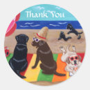 Recherche de breeze stickers Labrador