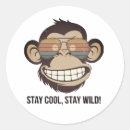 Search for monkeys stickers Funny