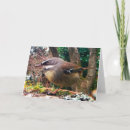 Recherche de roitelet vœux cartes Pour tous