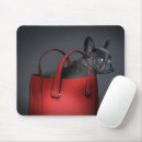 Recherche de french bulldog tapis souris Chiot
