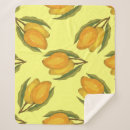 Search for mango blankets Background