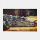 Search for alligator garden decor Animals