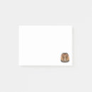Recherche de safari post its Chat
