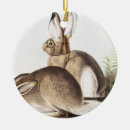 Search for hare ornaments Wildlife