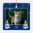 Search for navy blue ornaments Double sided