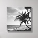 Search for black and white tree canvas prints Tropical