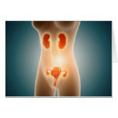 Search for human body organs Digitally generated image