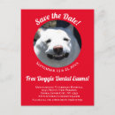 Search for veterinary reminder postcards Pet care