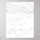 Recherche de pod posters Dauphin