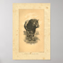 Search for bovin art Bull
