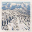 Recherche de terrain dessous de verres Arbre