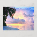 Search for sunset palm postcards Maldives