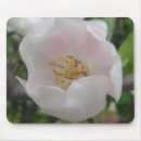 Search for purity mousepads Flower