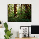 Search for forest posters Canada